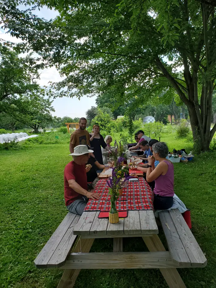 Dîner à la table de pique-nique près des rangs